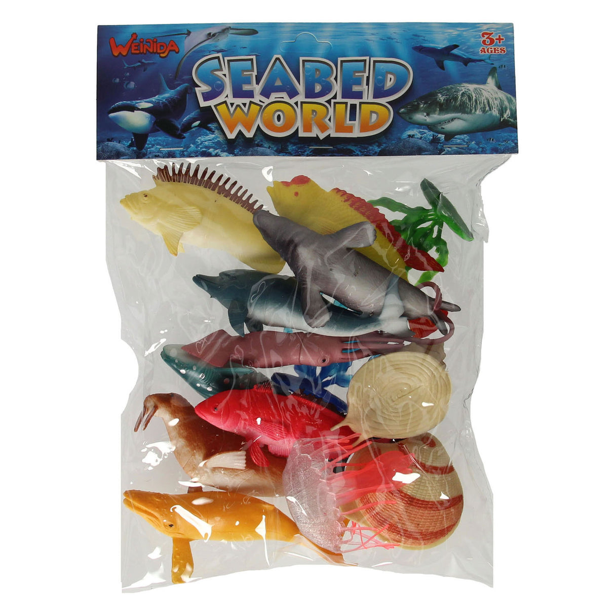 Marine animals, 11st.