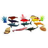 Sea Creatures, 11st.