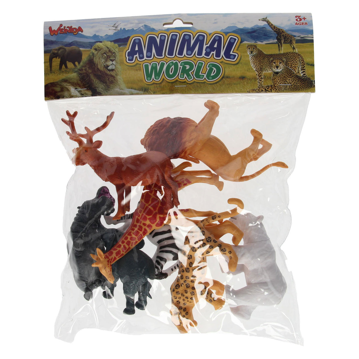 Wild animals, 8th.