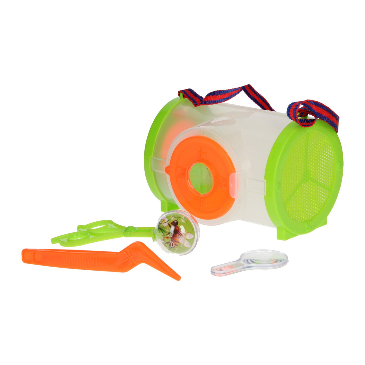Bugs World Luxury Insect Set