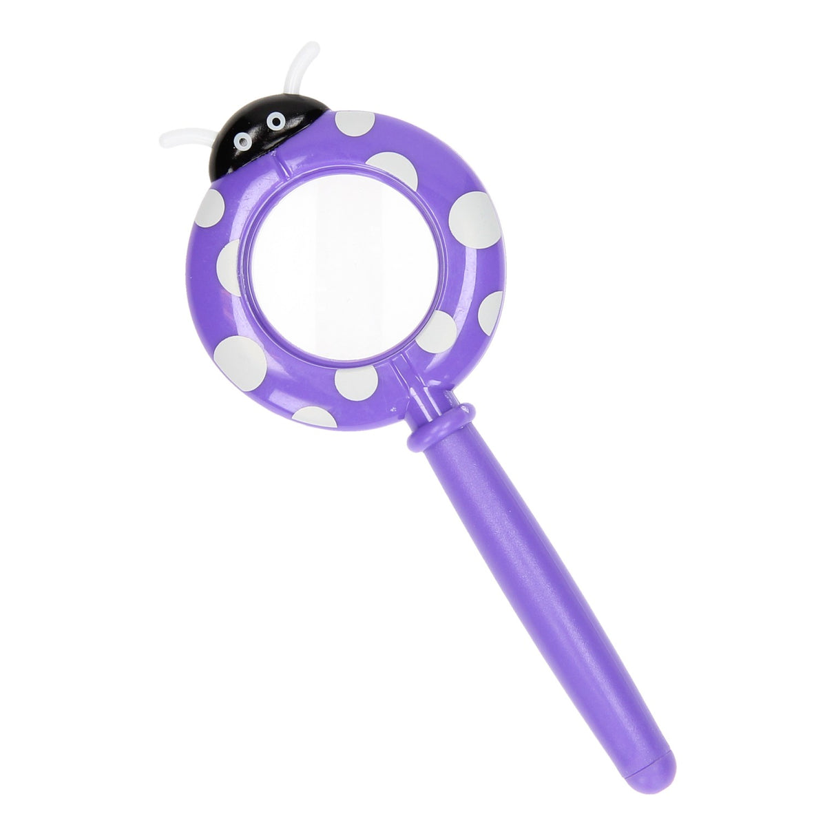 Magnifying glass insects