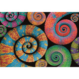 Cleemononi Colorboom Sammlung Puzzel gekrauselt 500 Stécker