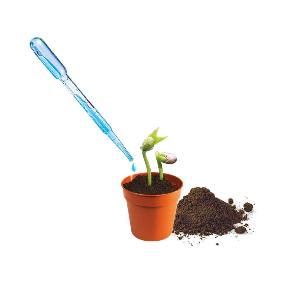 Clementoni Science Mini-Gewächshaus