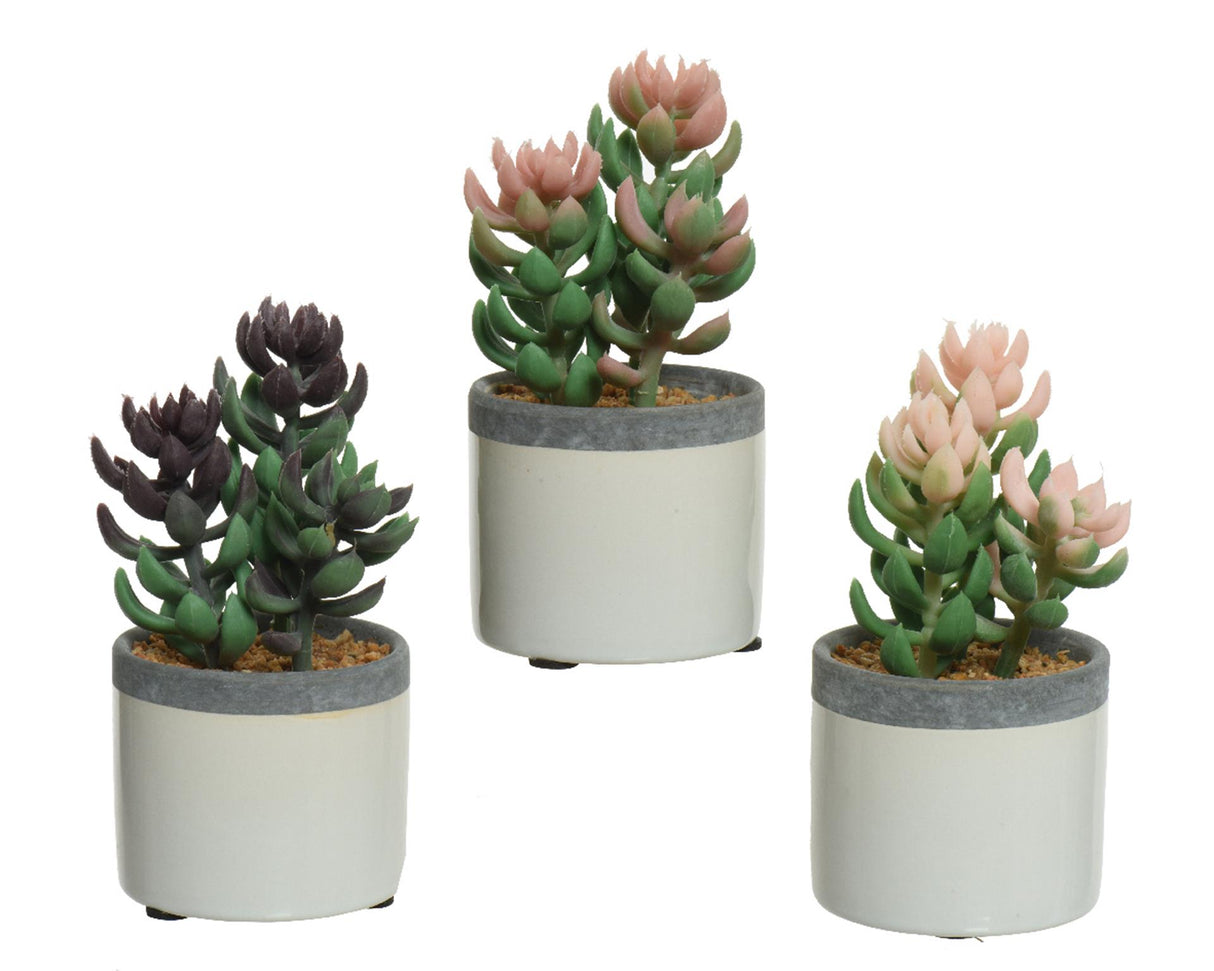 Decoris kunstplant vetplant in pot keramiek h14