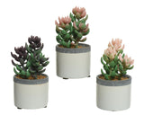 Decoris kunstplant vetplant in pot keramiek h14