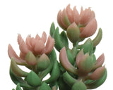 Decoris kunstplant vetplant in pot keramiek h14