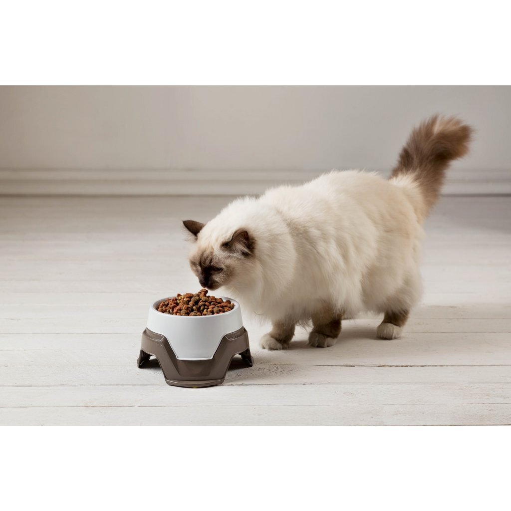 Bama pet food bowl stackable 19x10-13 cm assorted