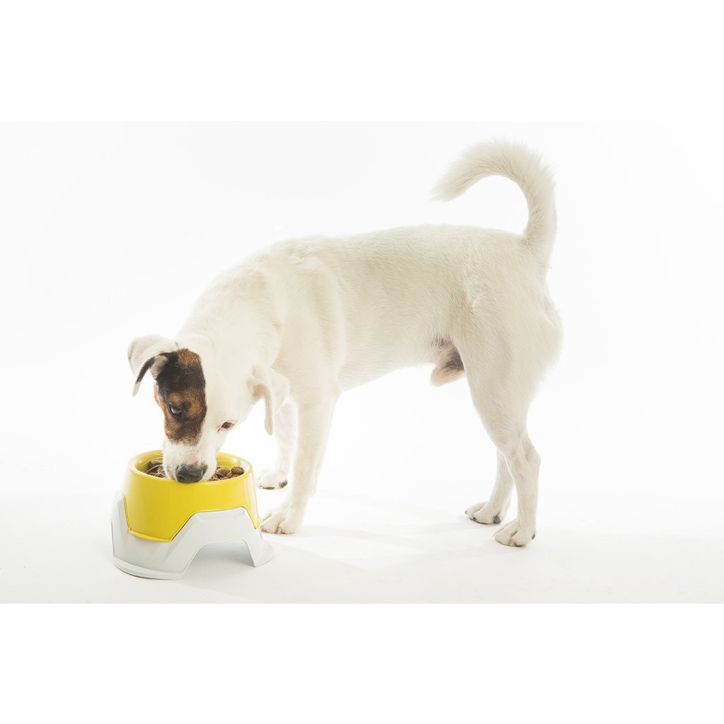 Bama pet food bowl stackable 19x10-13 cm assorted