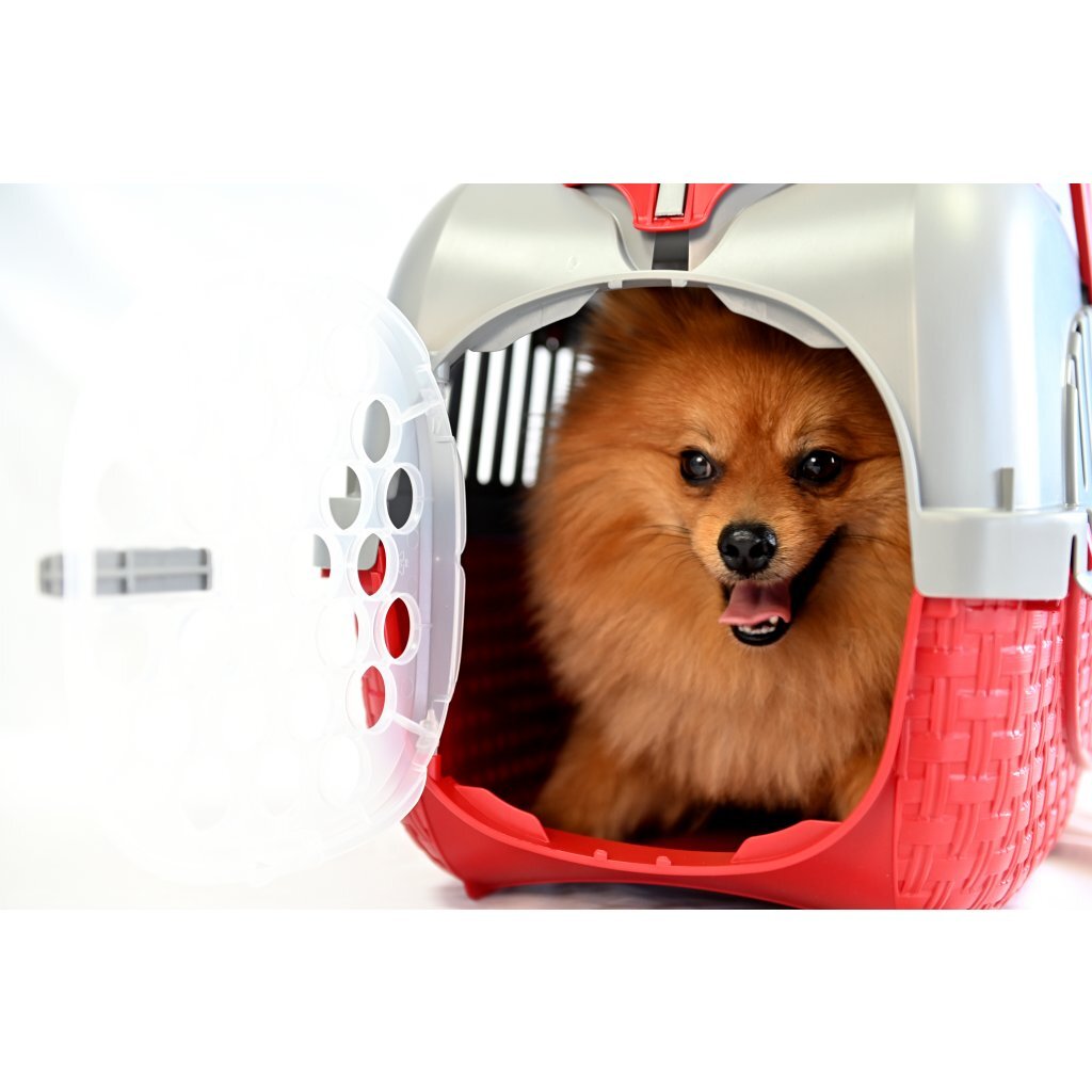 Bama Pet Transportbox 52x33x34 cm červené stříbro