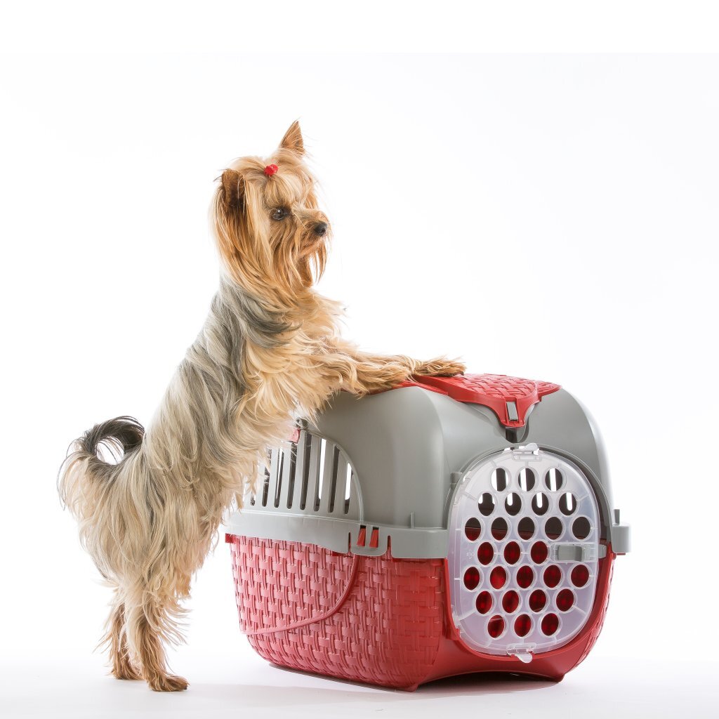 Bama Pet Transportbox 59x38x37 cm červené stříbro