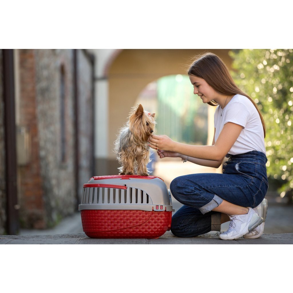 Bama Pet Transportbox 59x38x37 cm červené stříbro
