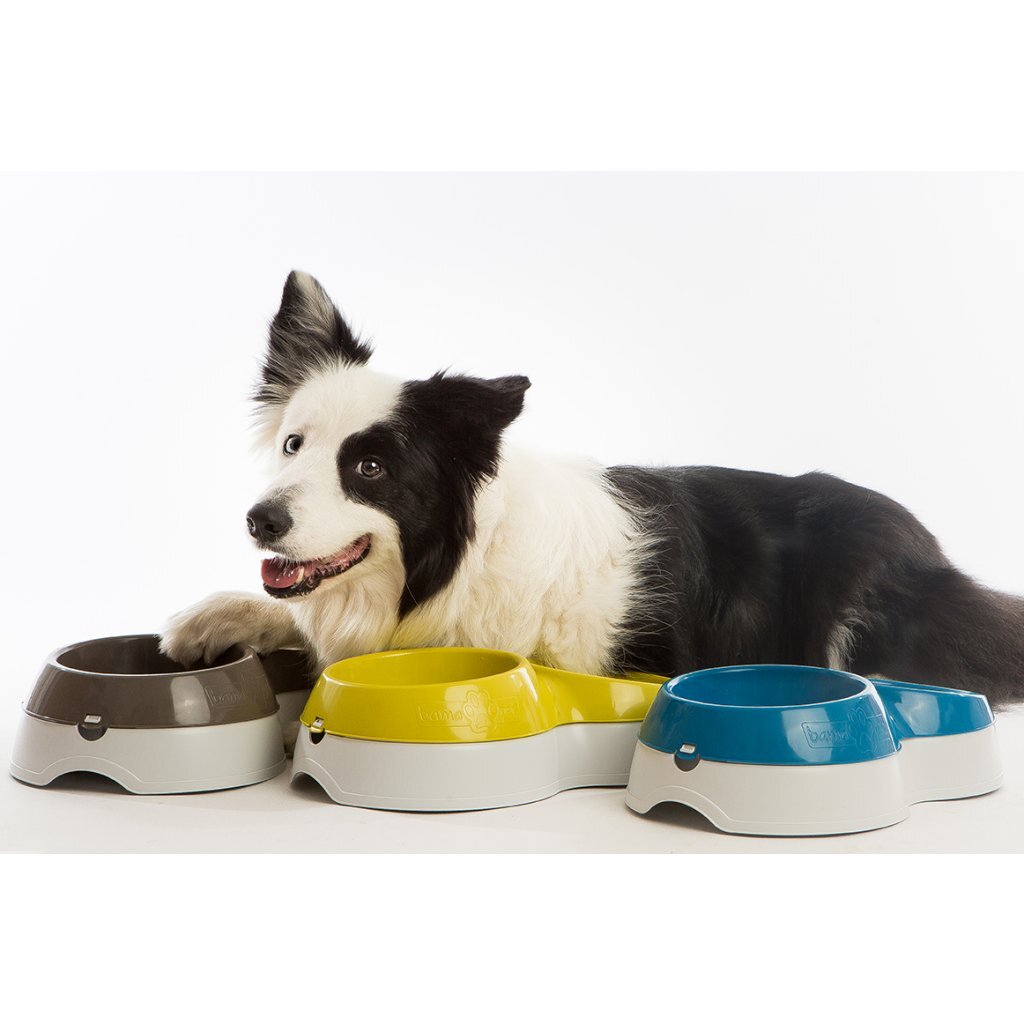 Bama cap feeder with water reservoir 33x20x9 cm assorti