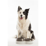 Bama cap feeder with water reservoir 33x20x9 cm assorti