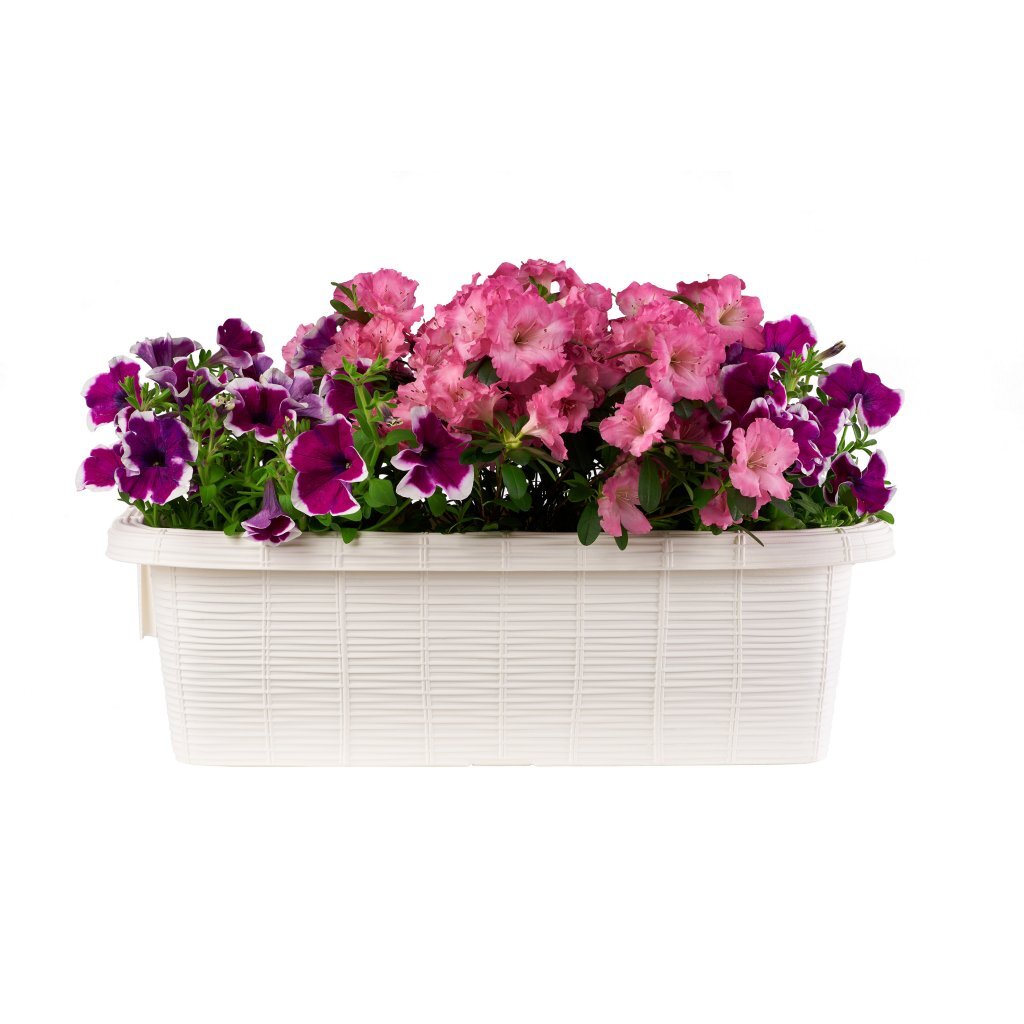 Bama Fioriera Bloem-Balkonbak 60x20x18,5 cm bílá