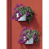 Bama Tulipano Flowerpot 5L 34,5x19x30 cm 4 kosi bele