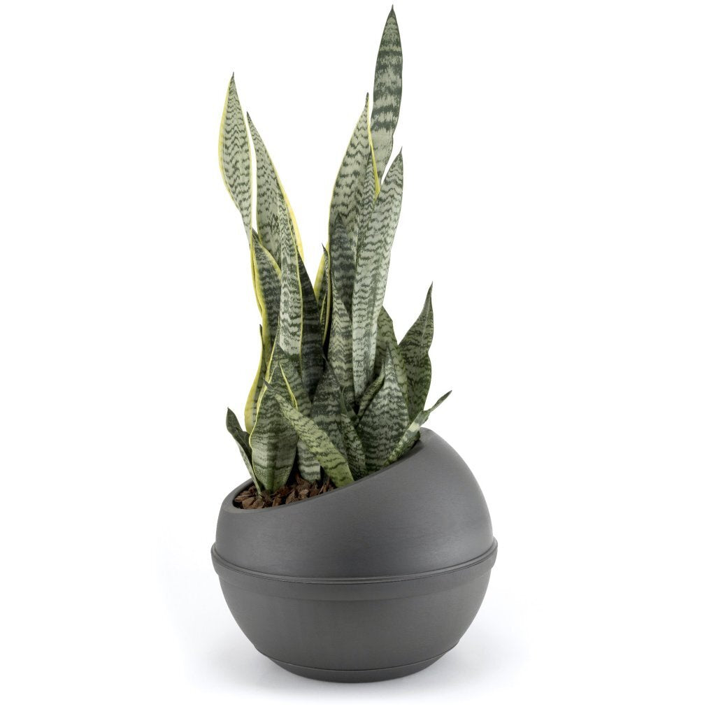 Bama sfera flower pot 23l 40.5x32 cm anthracite
