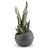 Bama sfera flower pot 23l 40.5x32 cm anthracite