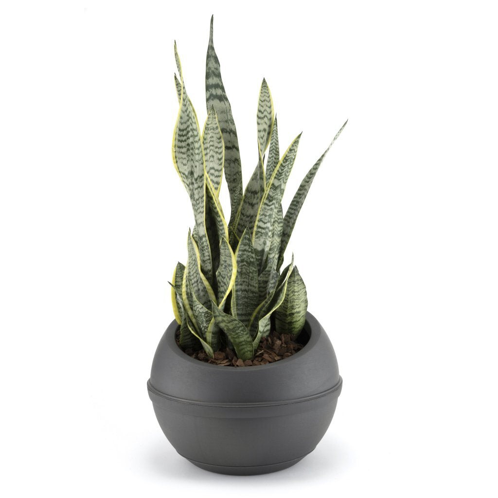 Bama sfera flower pot 23l 40.5x32 cm anthracite