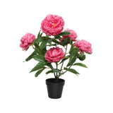 Decoris kunstplant pioenroos h57cm fuchsia