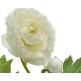 Decoris ranunculus h57cm white
