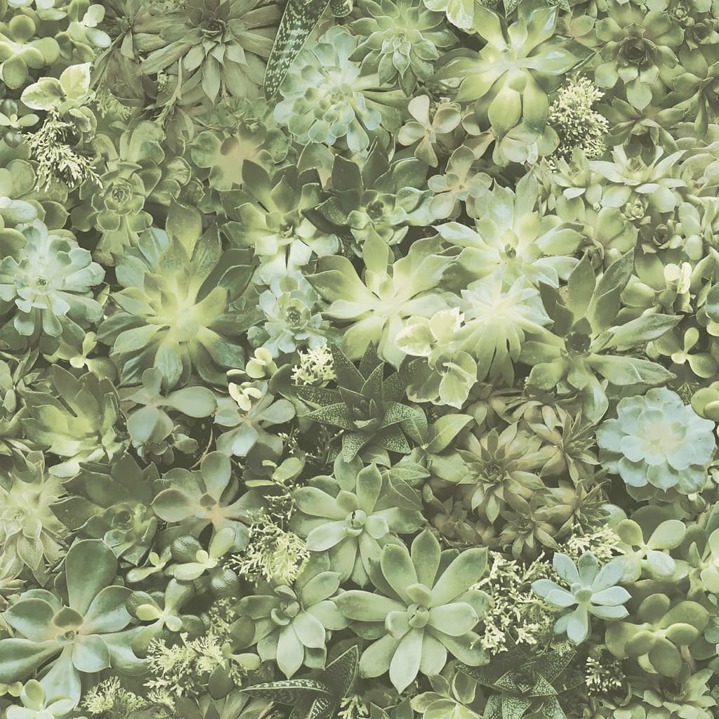 Noordwand nordwwn wallpaper Evergrénge suckulent Leen a Bige