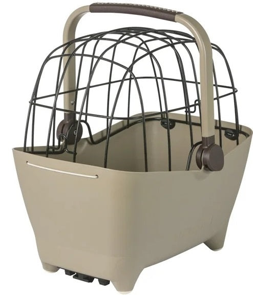 Basilikum kurv buddy mik