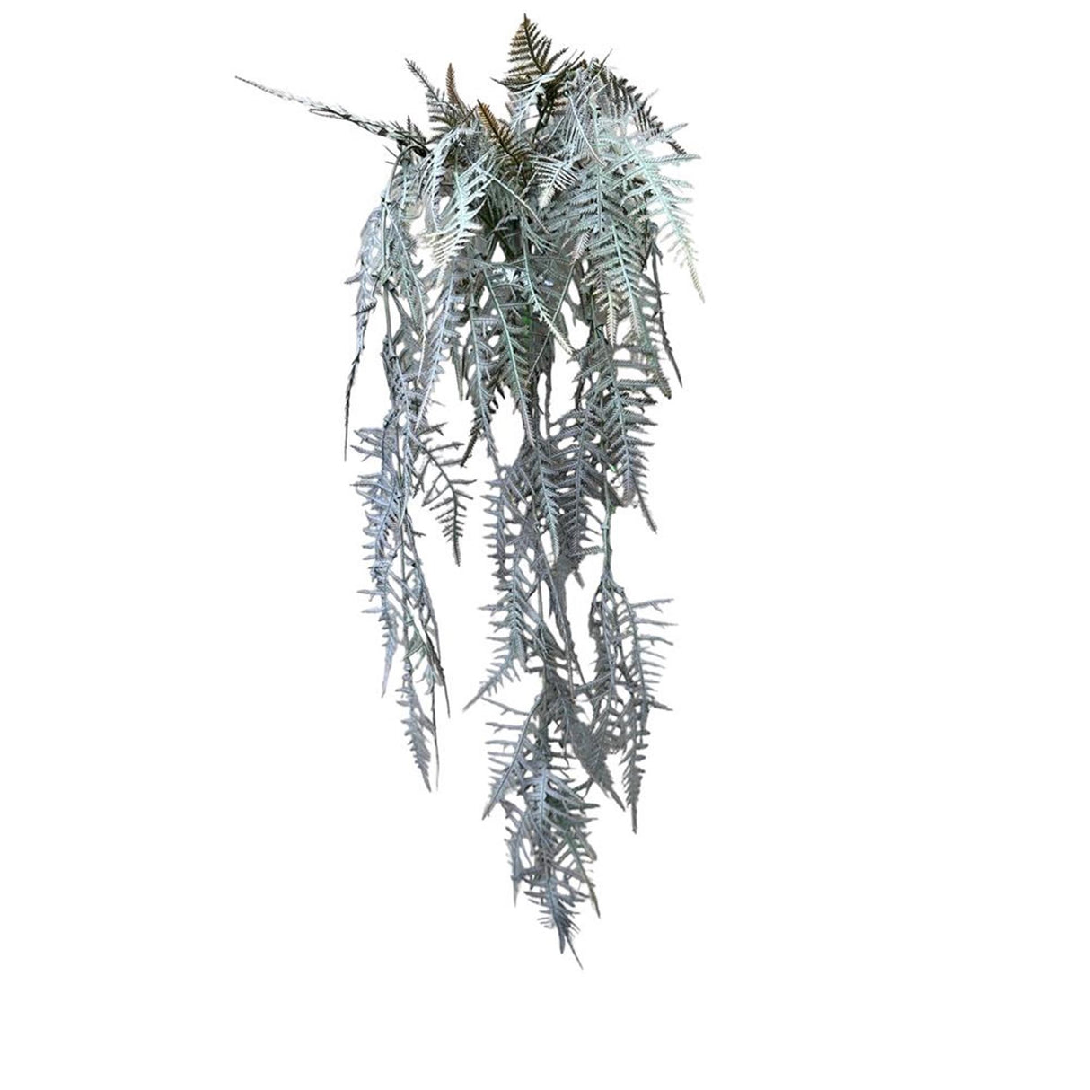 Roberts collection kunst hangplant asperges plumosus bruin