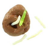 Amazing cool squishy turd with maggots