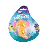 Incredibile stretta fresca axolotl assorti