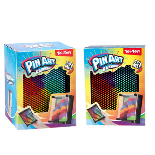 Fun pin art regenboog 12x9cm (fidget) 2 assorti