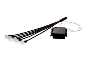 Descriptive image text