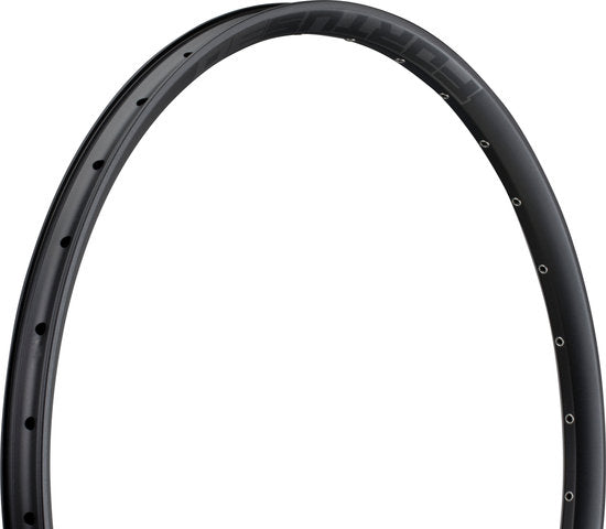 Hope fortus 30 disc 29 rim