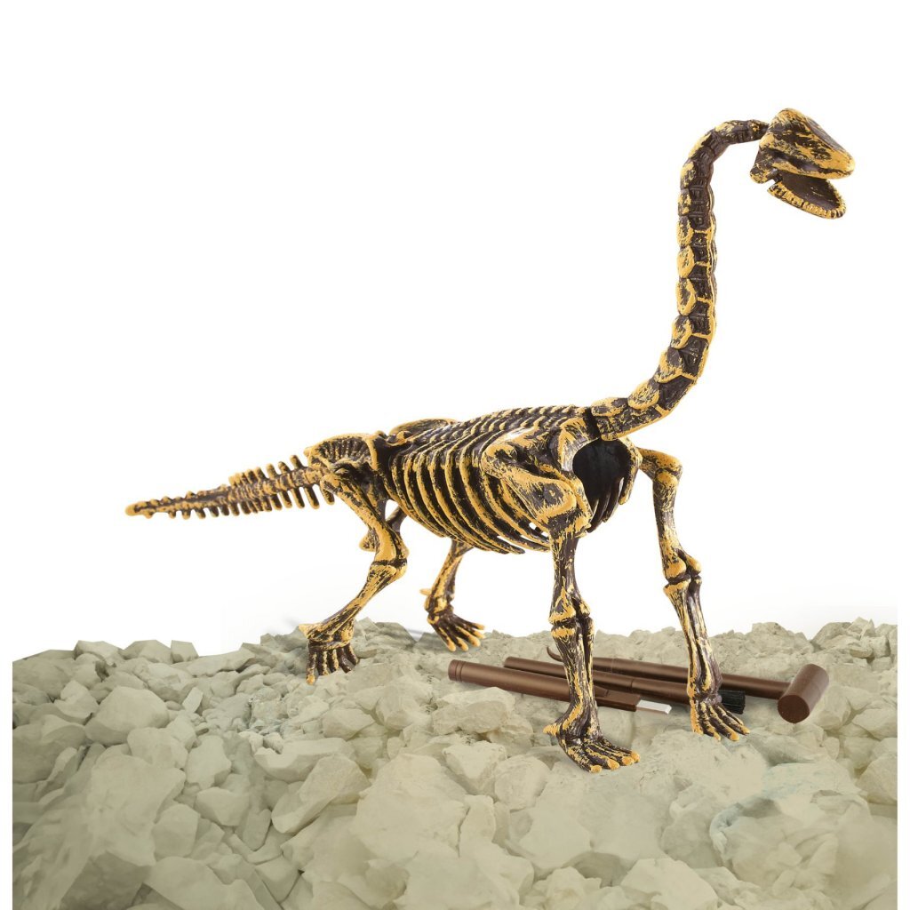 Dinobase dino 3d brachiosaurus skeleton