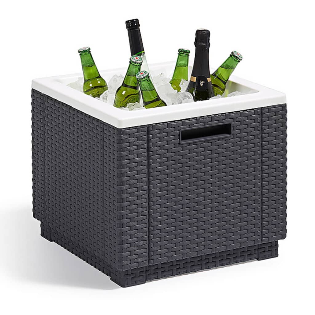 Keter Keter Cool Box Ice Cube Graphite