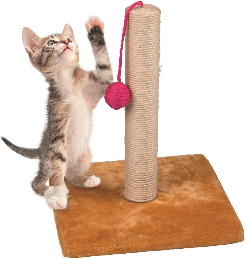 Maxxpro Pet Toys scratching with ball wood 30 x 35 cm