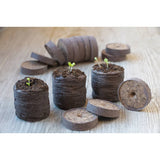Comprimés de gazon nature 48 STS Ø 4 cm