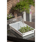 Nature Growing Set 55x31X22 CM 6020203