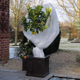 Couverture d'hiver nature 30 g m² 1x10m blanc