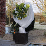 Natur vinterdæksel 30 g m² 2x10 m hvid