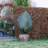 Nature Wintervliekerdekozen 3 St 50 G m² 100x50 cm grøn
