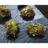 Nature Cover Film 3x4 m 150 µ črno