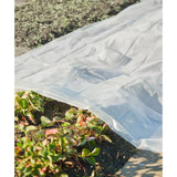 Copertura della pianta naturale 3x4 m 100µ trasparente