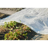 Copertura dell'impianto naturale 3x4 m 200µ trasparente