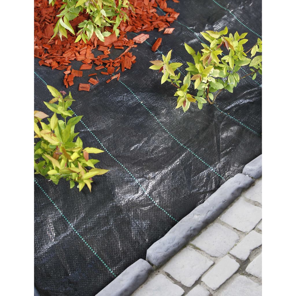 Nature Carrot cloth 2x10 m Black