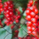 Nature Vogelnet Primo 10x4 m sort 6030406