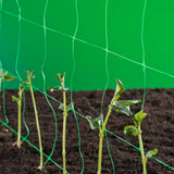 Nature Klimnet For Plants Green 2x5 M 6030430