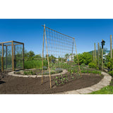 Nature Klimnet für Pflanzen 1,8x5 m l
