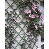 Nature Garden Slat Work 50x150 cm PVC Green 6040702