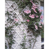Nature Garden slat work 100x200 cm PVC White 6040703