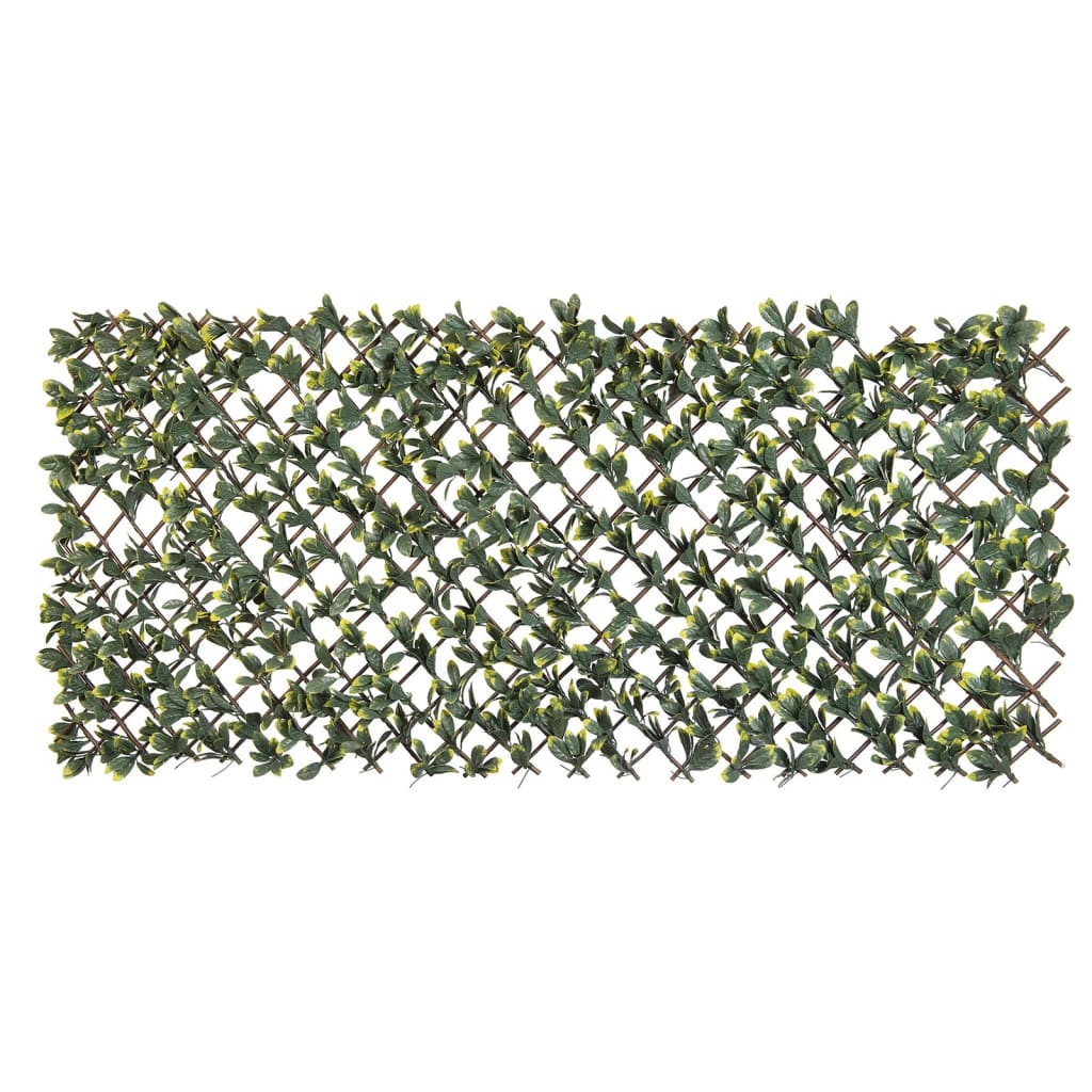 Nature Latwerk z ligusterem w Kalifornii zielony i żółte ostrze 90x180 cm
